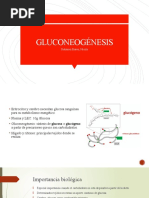 GLUCONEOGÉNESIS