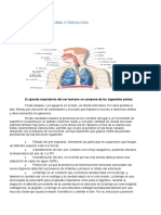 Anatomia y Fisiologia Sistemas