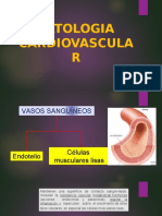 1ra Teoria Patologia Cardiovascular 2022