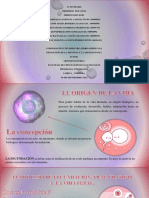 Actividad 2 - Primeros Dos Años - 5.0