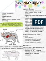 Características:: Estruturas Que Compõem