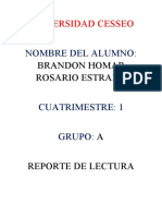 Reporte de Lectura