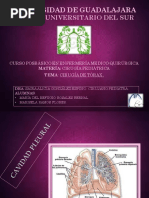 Exposicion Pediatría Cirugía de Tórax Terminada