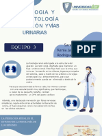 Fisiologia y Fisiopatologia Del Riñon