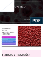 HEMATOPOYESIS