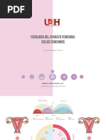 Mapa Mental Fisiología Del Aparato Genital Femenino