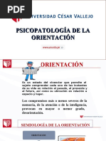 Sesión 03-2 - Psicopatología de La Orientacion