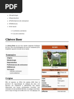 Chèvre Boer