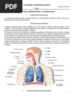 MOD IV - El APARATO RESPIRATORIO