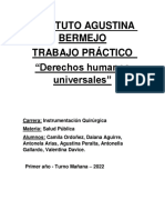 Trabajo Practico - Derechos Humanos Universales