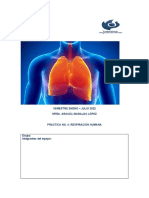 Práctica 4 Respiración Humana