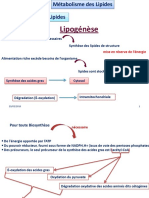 CH3.Lipogénèse PF