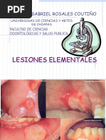 Lesiones Elementales y Vesiculo-Ampollares