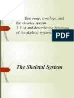 Skeletal SYatem