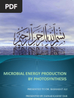 Microbial Energy Production by Photosynthesis