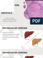 Cirrosis Fisiopatologia 2022