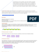 Curso Básico de Mostacilla