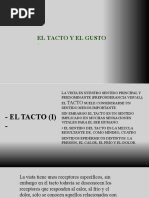 Tacto y Gusto