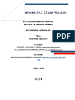 MONOGRAFIA DIABETES MELLITUS Almendra Villanuevadocx