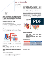 Fisiologia Cardiaca