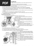 12.1 Waste Excretion and Equilibrium: Anatomy of The Urinary System