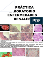 Examen Laboratorio Pato Especial