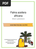 Guia de Palma Aceitera