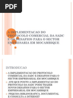 A Implementacao Do Protocolo Comercial Da Sadc e