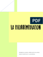 La Fitorremediación