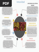 Respuestas Semana 1+