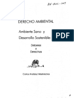 D. Ambiental