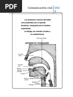 Aparato Fonador