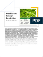 Cellular Respiration in Animals Plants Notes-2022-2023