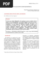 Tipos de Aneurisma Disecante de Aorta