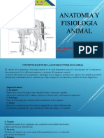 Anatomina y Fisiologia Animal-3