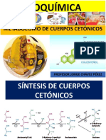 Clase-Tema 13-Metabolismo de Lipidos