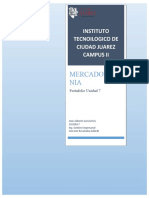 Portafolio Unidad 7