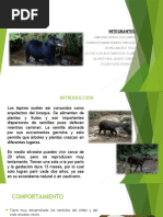 Tapir Expo 2