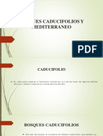 Bosques Caducifolios y Mediterraneo