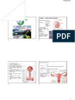 Capítulo 5 - Sistema Genital e Ciclo Menstrual Edit 2021