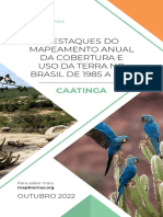 MapBiomas - Caatinga 2022 - 06 - 10