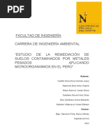 Avance Final-Trabajo de Investigación de Microbiología Ambiental Denis