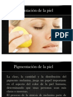 Pigmentación de La Piel