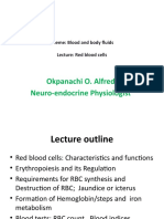 Red Blood Cells Lecture 4