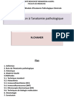 Introduction À L Anatomie Pathologique