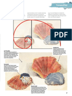 Paint Amp Draw - Still Life - 2nd Edition 2022-19