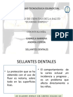 Sellantes Inicio