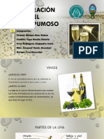 Vino Espumoso