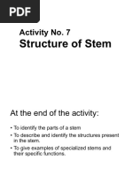 Structure of Stem