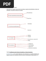 Técnicas Clase 2